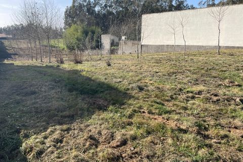 Helårsgrund i Macinhata do Vouga, Aveiro, Macinhata do Vouga - € 33.000 | Ref: KWPT-030034 - foto 2