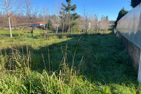 Helårsgrund i Macinhata do Vouga, Aveiro, Macinhata do Vouga - € 33.000 | Ref: KWPT-030034 - foto 4
