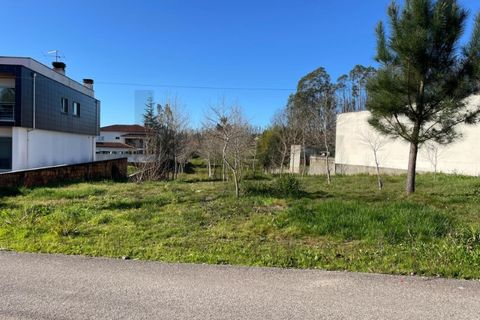 Helårsgrund i Macinhata do Vouga, Aveiro, Macinhata do Vouga - € 33.000 | Ref: KWPT-030034 - foto 5