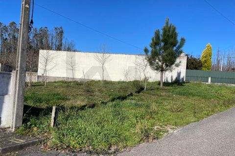 Helårsgrund i Macinhata do Vouga, Aveiro, Macinhata do Vouga - € 33.000 | Ref: KWPT-030034 - foto 6
