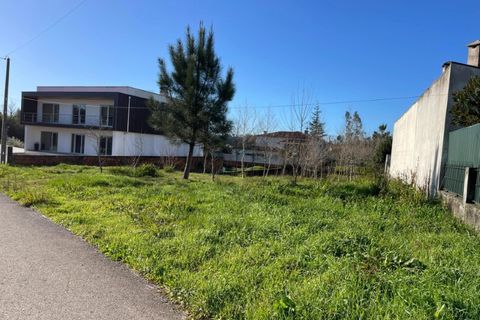 Helårsgrund i Macinhata do Vouga, Aveiro, Macinhata do Vouga - € 33.000 | Ref: KWPT-030034 - foto 8