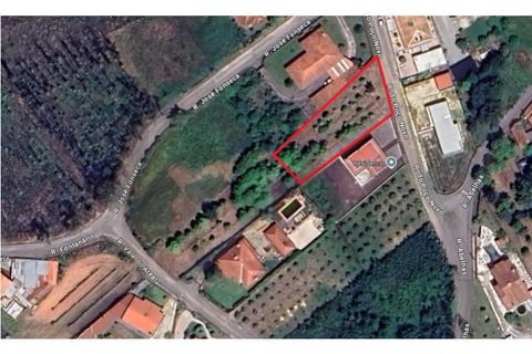 Helårsgrund i Macinhata do Vouga, Aveiro, Macinhata do Vouga - € 33.000 | Ref: KWPT-030034 - foto 10