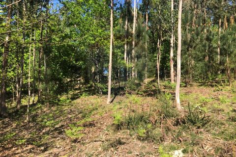 Helårsgrund i Arcos de Valdevez, Viana do Castelo, Arcos de Valdevez - € 39.900 | Ref: 126371012-205 - foto 5