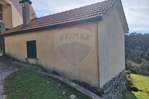 Villa i Portela e Extremo, Viana do Castelo, Portela e Extremo - € 65.000 | Ref: 1039-78 - foto 9