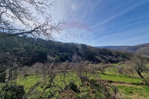 Villa i Portela e Extremo, Viana do Castelo, Portela e Extremo - € 65.000 | Ref: 1039-78 - foto 12