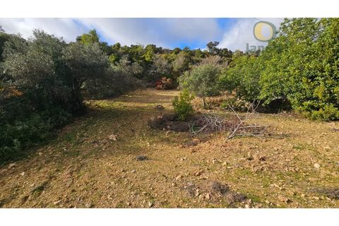 Helårsgrund i Estoi, Faro, Estoi - € 52.500 | Ref: TER_14238 - foto 1