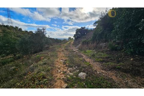 Helårsgrund i Estoi, Faro, Estoi - € 52.500 | Ref: TER_14238 - foto 2