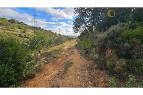 Helårsgrund i Estoi, Faro, Estoi - € 52.500 | Ref: TER_14238 - foto 3