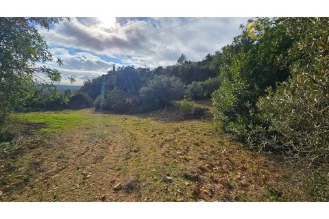 Helårsgrund i Estoi, Faro, Estoi - € 52.500 | Ref: TER_14238 - foto 4