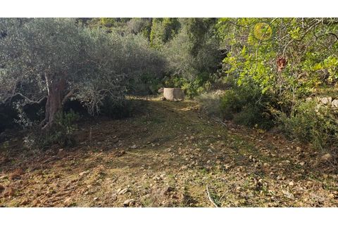 Helårsgrund i Estoi, Faro, Estoi - € 52.500 | Ref: TER_14238 - foto 5