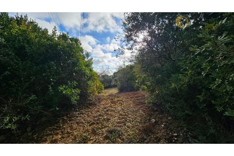 Helårsgrund i Estoi, Faro, Estoi - € 52.500 | Ref: TER_14238 - foto 6