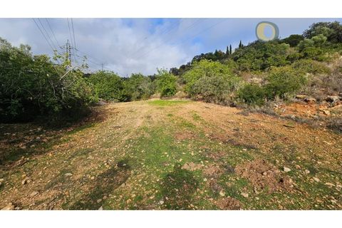 Helårsgrund i Estoi, Faro, Estoi - € 52.500 | Ref: TER_14238 - foto 8