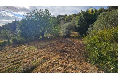 Helårsgrund i Estoi, Faro, Estoi - € 52.500 | Ref: TER_14238 - foto 9