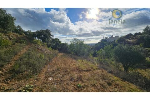 Helårsgrund i Estoi, Faro, Estoi - € 52.500 | Ref: TER_14238 - foto 11