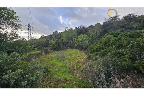 Helårsgrund i Estoi, Faro, Estoi - € 52.500 | Ref: TER_14238 - foto 12