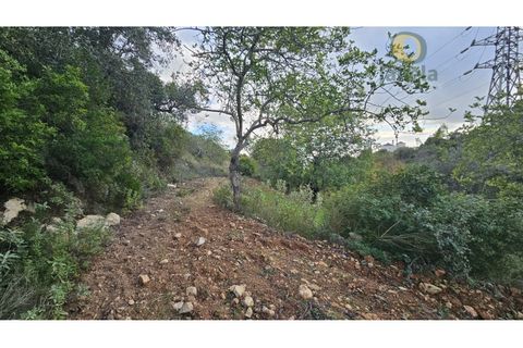 Helårsgrund i Estoi, Faro, Estoi - € 52.500 | Ref: TER_14238 - foto 13