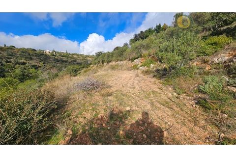 Helårsgrund i Estoi, Faro, Estoi - € 52.500 | Ref: TER_14238 - foto 15