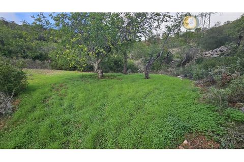Helårsgrund i Estoi, Faro, Estoi - € 52.500 | Ref: TER_14238 - foto 16