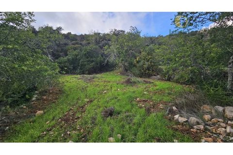Helårsgrund i Estoi, Faro, Estoi - € 52.500 | Ref: TER_14238 - foto 17