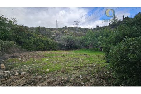 Helårsgrund i Estoi, Faro, Estoi - € 52.500 | Ref: TER_14238 - foto 18