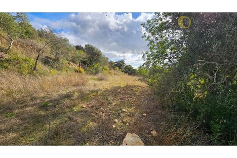 Helårsgrund i Estoi, Faro, Estoi - € 52.500 | Ref: TER_14238 - foto 19