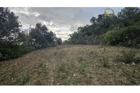 Helårsgrund i Estoi, Faro, Estoi - € 52.500 | Ref: TER_14238 - foto 20
