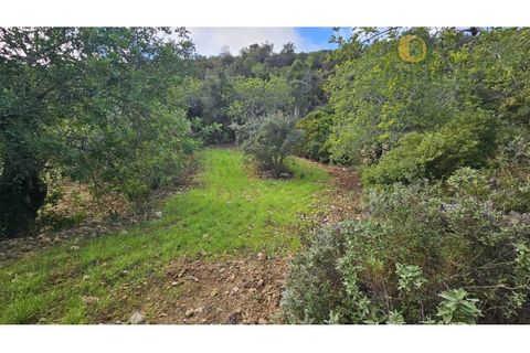 Helårsgrund i Estoi, Faro, Estoi - € 52.500 | Ref: TER_14238 - foto 21