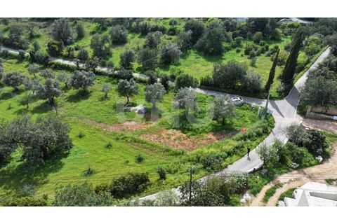 Helårsgrund i Paderne, Faro, Paderne - € 77.500 | Ref: UNU.I.1787.20554 - foto 4