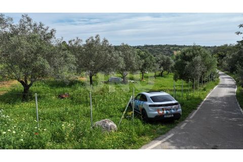 Helårsgrund i Paderne, Faro, Paderne - € 77.500 | Ref: UNU.I.1787.20554 - foto 6