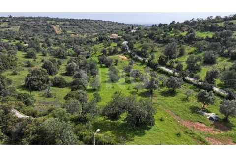 Helårsgrund i Paderne, Faro, Paderne - € 77.500 | Ref: UNU.I.1787.20554 - foto 7