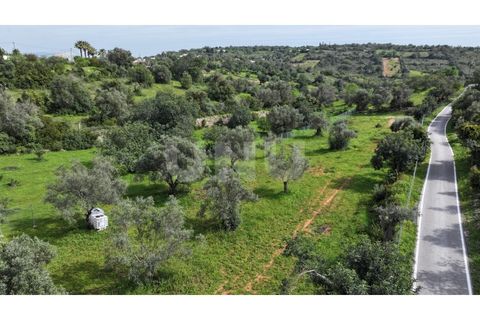 Helårsgrund i Paderne, Faro, Paderne - € 77.500 | Ref: UNU.I.1787.20554 - foto 10