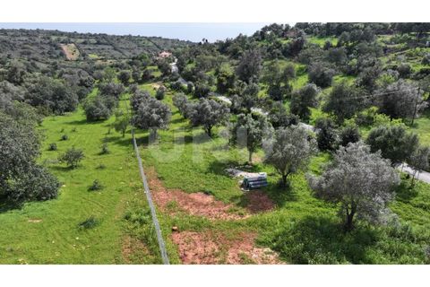 Helårsgrund i Paderne, Faro, Paderne - € 77.500 | Ref: UNU.I.1787.20554 - foto 11