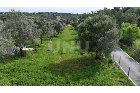 Helårsgrund i Paderne, Faro, Paderne - € 77.500 | Ref: UNU.I.1787.20554 - foto 12