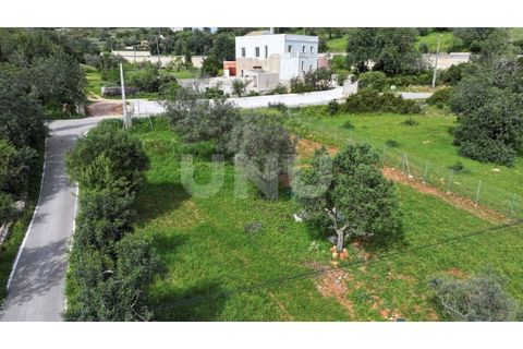 Helårsgrund i Paderne, Faro, Paderne - € 77.500 | Ref: UNU.I.1787.20554 - foto 13