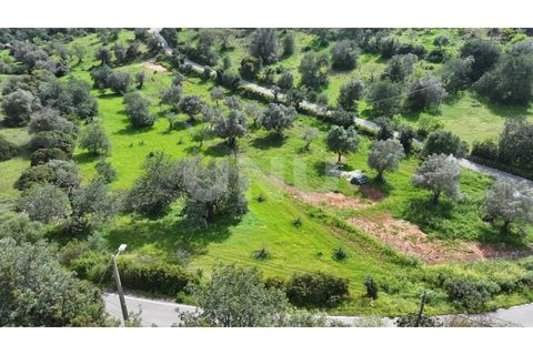 Helårsgrund i Paderne, Faro, Paderne - € 77.500 | Ref: UNU.I.1787.20554 - foto 14