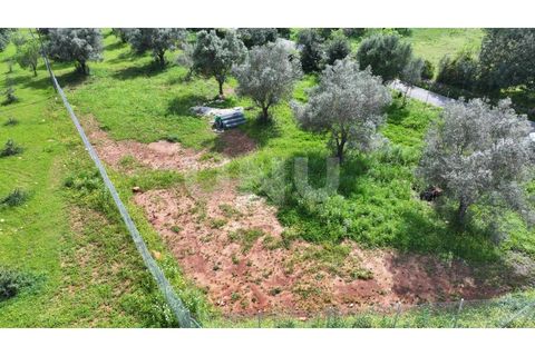 Helårsgrund i Paderne, Faro, Paderne - € 77.500 | Ref: UNU.I.1787.20554 - foto 15