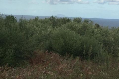 Terra a Messina, Messina, Messina - € 9.000 | Ref: GIH-5021 - foto 2