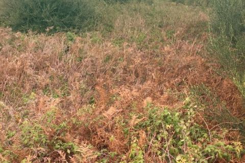 Terra a Messina, Messina, Messina - € 9.000 | Ref: GIH-5021 - foto 4