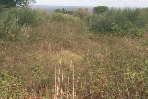 Terra a Messina, Messina, Messina - € 9.000 | Ref: GIH-5021 - foto 5