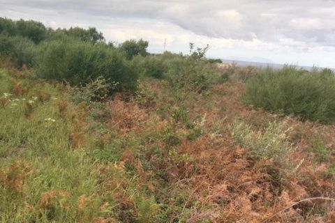 Terra a Messina, Messina, Messina - € 9.000 | Ref: GIH-5021 - foto 6