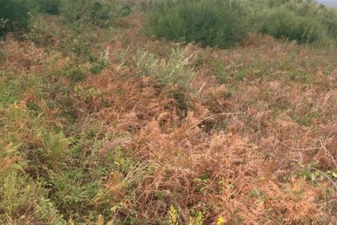 Terra a Messina, Messina, Messina - € 9.000 | Ref: GIH-5021 - foto 7