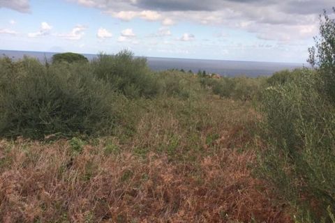 Terra a Messina, Messina, Messina - € 9.000 | Ref: GIH-5021 - foto 8