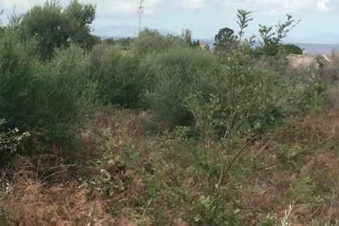 Terra a Messina, Messina, Messina - € 9.000 | Ref: GIH-5021 - foto 9