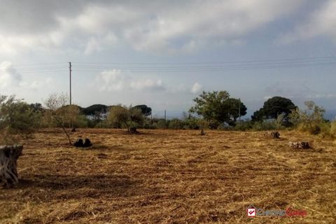 Terra a Messina, Messina, Messina - € 9.000 | Ref: GIH-5021 - foto 14
