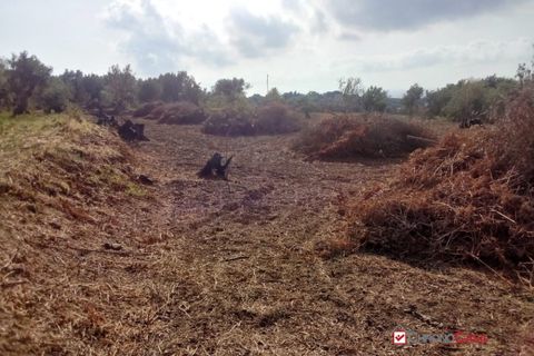 Terra a Messina, Messina, Messina - € 9.000 | Ref: GIH-5021 - foto 16