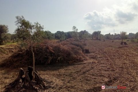 Terra a Messina, Messina, Messina - € 9.000 | Ref: GIH-5021 - foto 18