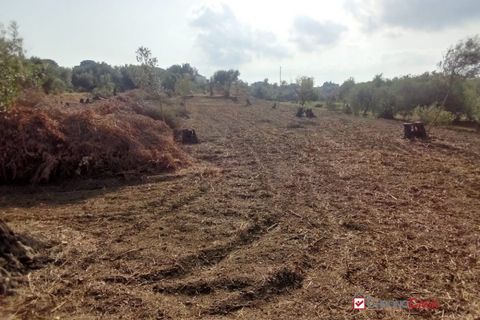 Terra a Messina, Messina, Messina - € 9.000 | Ref: GIH-5021 - foto 19