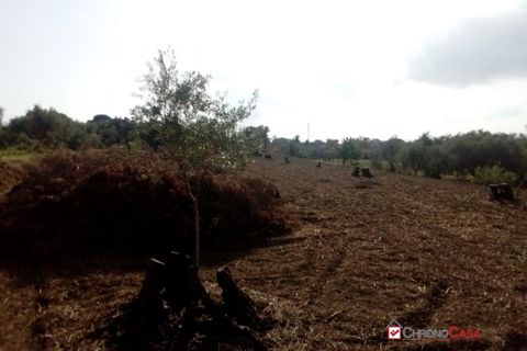 Terra a Messina, Messina, Messina - € 9.000 | Ref: GIH-5021 - foto 20