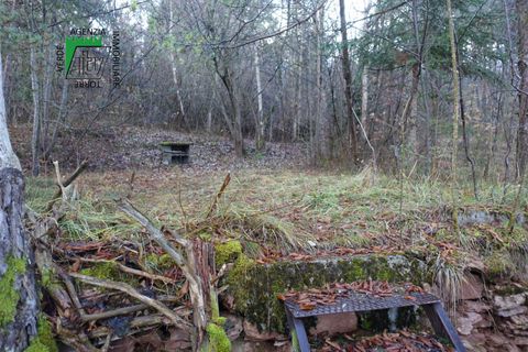 Landejendom i Predaia, Trento, Predaia - € 100.000 | Ref: 26-025MS - foto 15