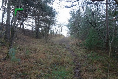 Landejendom i Predaia, Trento, Predaia - € 100.000 | Ref: 26-025MS - foto 20